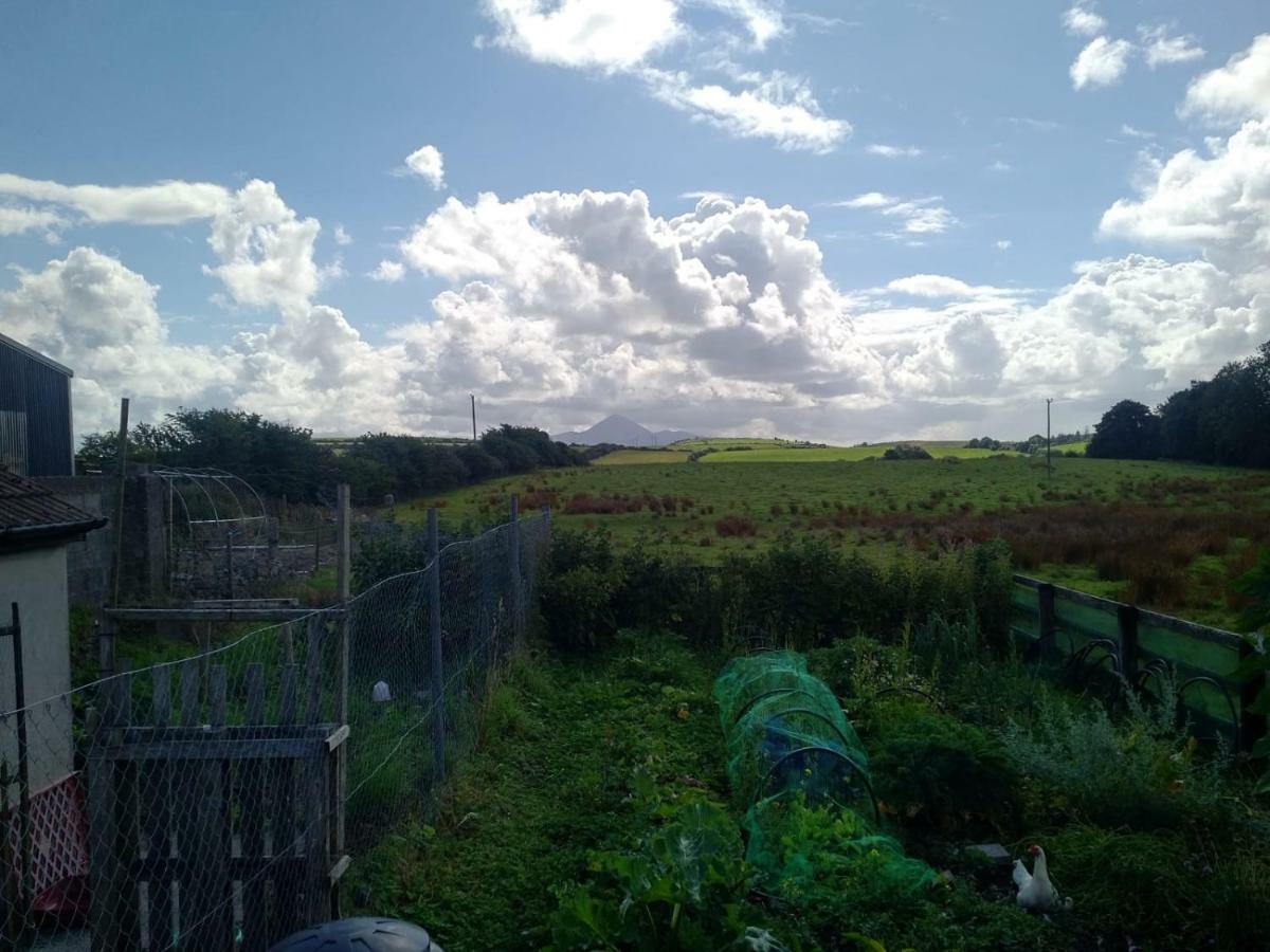 Catherine'S Lair A Quiet Peaceful Homestay Westport Buitenkant foto